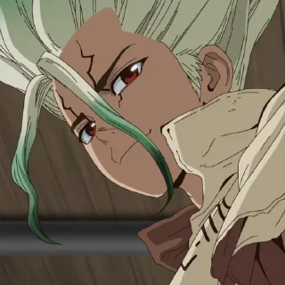 Telegram sticker 🧪 Senku (@TodorokiShouto)