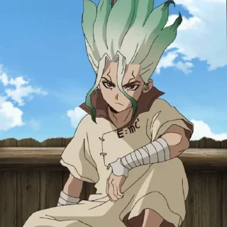 Telegram sticker 🧪 Senku (@TodorokiShouto)