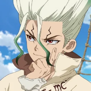 Telegram sticker 🧪 Senku (@TodorokiShouto)