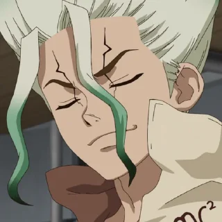 Telegram sticker 🧪 Senku (@TodorokiShouto)