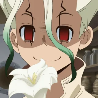 Telegram sticker 🧪 Senku (@TodorokiShouto)