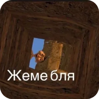 Telegram sticker 🪨 форс мажор @Moscowneversleep200