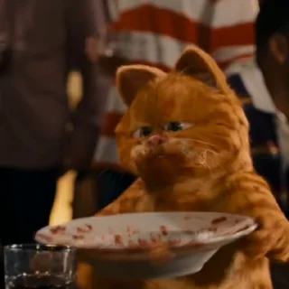 Video sticker 🥺 Garfield😻 @MochaStickers