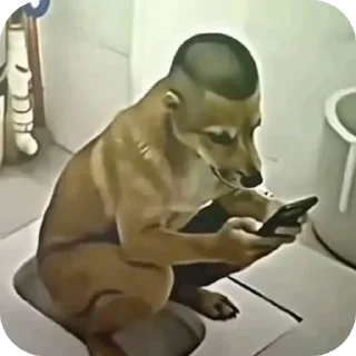 Telegram sticker 🍽 pacote secundário do @flakaralho