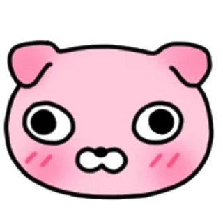 Video sticker ⭐ 사료 한 톨 강사장 @manbull_sticker_bot