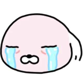 Video sticker ⭐ 사료 한 톨 강사장 @manbull_sticker_bot