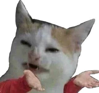 Telegram sticker 💩 Kintil @jamilahberkarya