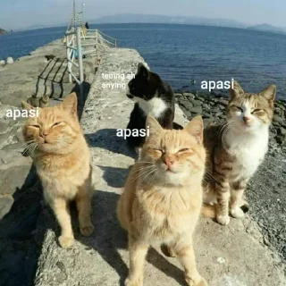 Telegram sticker 💩 Kintil @jamilahberkarya