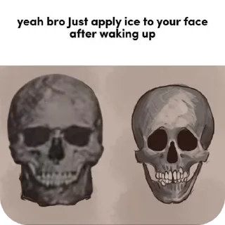 Video sticker 👓 Owner : @zeta_aep