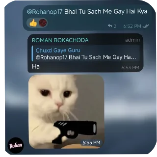 Telegram sticker 🐱 @SumitRaWhat #3550 :: @fStikBot