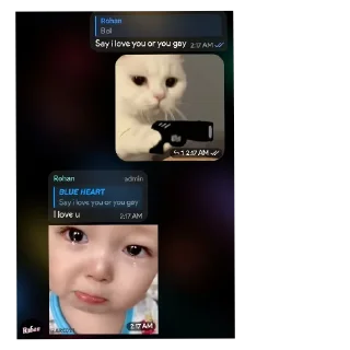 Telegram sticker 🐱 @SumitRaWhat #3550 :: @fStikBot
