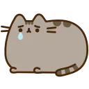 Video sticker 😢 Pusheen the Cat @T...