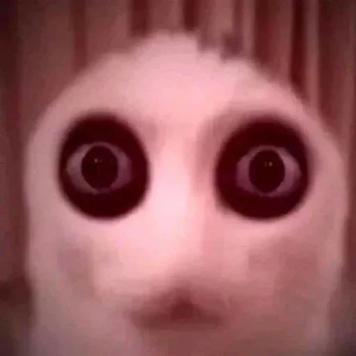 Телеграм стикер 😳 Fábio pericepias