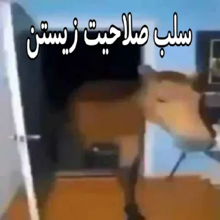 Телеграм стикер 🐴 اسب ها واقعی نیستن @SadraTheIII