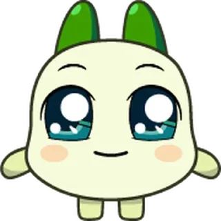 Video sticker ⭐ 쿵야다오