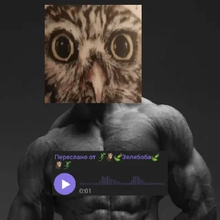 Telegram stiker 😍 Zelibob_attack