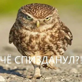 Telegram stiker 👿 Zelibob_attack