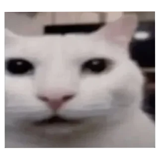 Telegram stiker 🐱 My goofy ass stickers please go aw/@Iirresistiible