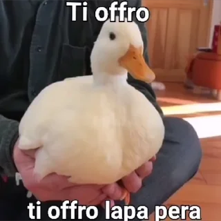 Telegram sticker 🦆 Lago Duria