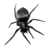 Sticker 🕷️ @babkaaZpy