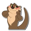 Video sticker 😳 Otter!