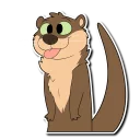 Video sticker 😛 Otter!