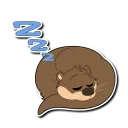 Video sticker 💤 Otter!