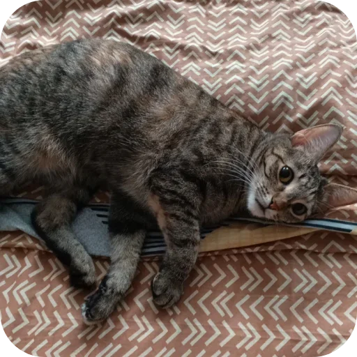 Telegram sticker 👍 Больше стиков тут: @stikery4