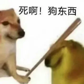 Telegram sticker 🤨 信誉盘跑分联系 @vitocolyon2