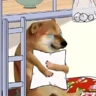 Video sticker 🤨 信誉盘跑分联系 @vitocolyon2