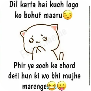 Video sticker 🐱 Funny sticker