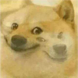 Video sticker 🌚 Yashs kang pack