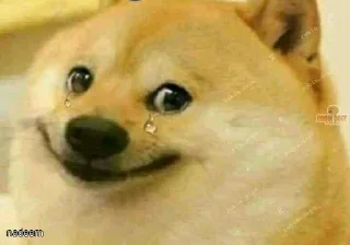 Telegram stiker 🥺 Yashs kang pack