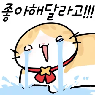 Video sticker 👻 괴렘콘 촉촉팩 @DCConSticker