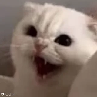 Sticker 🤬 Cats by Iris [HITLER] @YourSinnerMommy