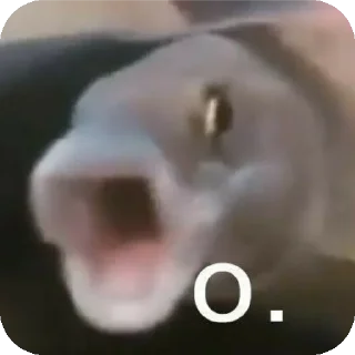 Telegram sticker 🤯 АХУЙ :: @fStikBot