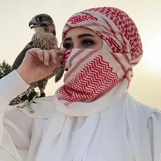 Video sticker 🌟 🌺 @Diqqat_savolcha 🌺 :: @fStikBot