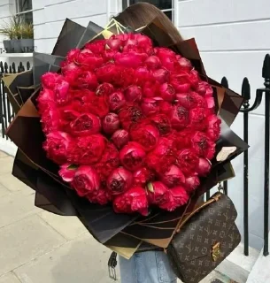 Telegram sticker 🌟 🌺 @Diqqat_savolcha 🌺 :: @fStikBot