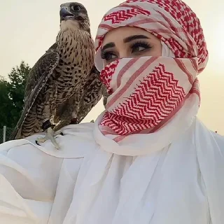 Video sticker 🌟 🌺 @Diqqat_savolcha 🌺 :: @fStikBot