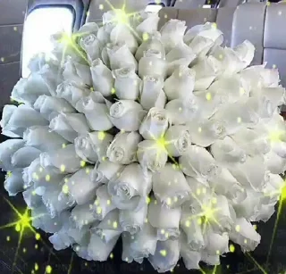 Telegram sticker 🌟 🌺 @Diqqat_savolcha 🌺 :: @fStikBot