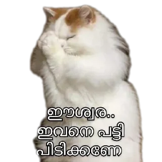 Telegram sticker 😂 @r3njith Vol.1