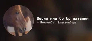Телеграм стикер 🌟 Seliware type shit