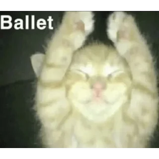 Video sticker 😵 @buriedwithleeches