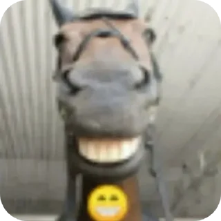 Video sticker 👍 البوم صور المتنبي @Mohamed_5S