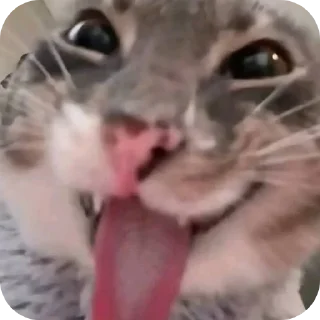 Telegram sticker 👄 Tuuntunsahur