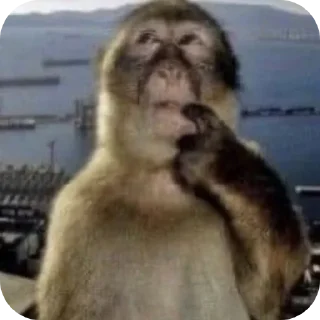 Telegram sticker 🤔 Tuuntunsahur