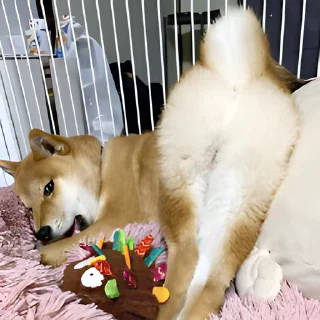 Video sticker 👻 LGBT 렉밭콘5 @DCConSticker