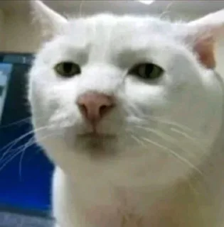 Telegram stiker 😐 ケイー𝗣𝘅's pack by @prinzeugen_robot