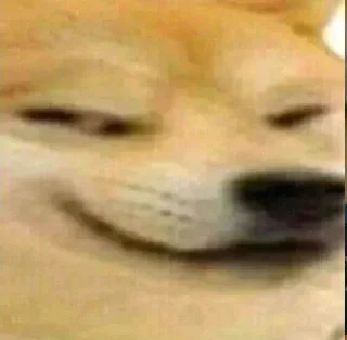 Sticker 😎 𝙎𝙃𝙄𝙑𝘼𝙈.•°●○'s sticker pack (@Marin_Roxbot)