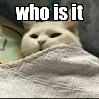 Video sticker 🐱 𝙎𝙃𝙄𝙑𝘼𝙈.•°●○'s sticker pack (@Marin_Roxbot)